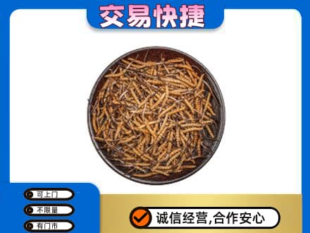 南昌进贤县回收散虫草